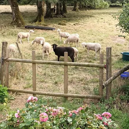 Gite De La Roche *
